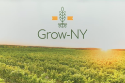 The Grow NY logo with a vineyard in the background