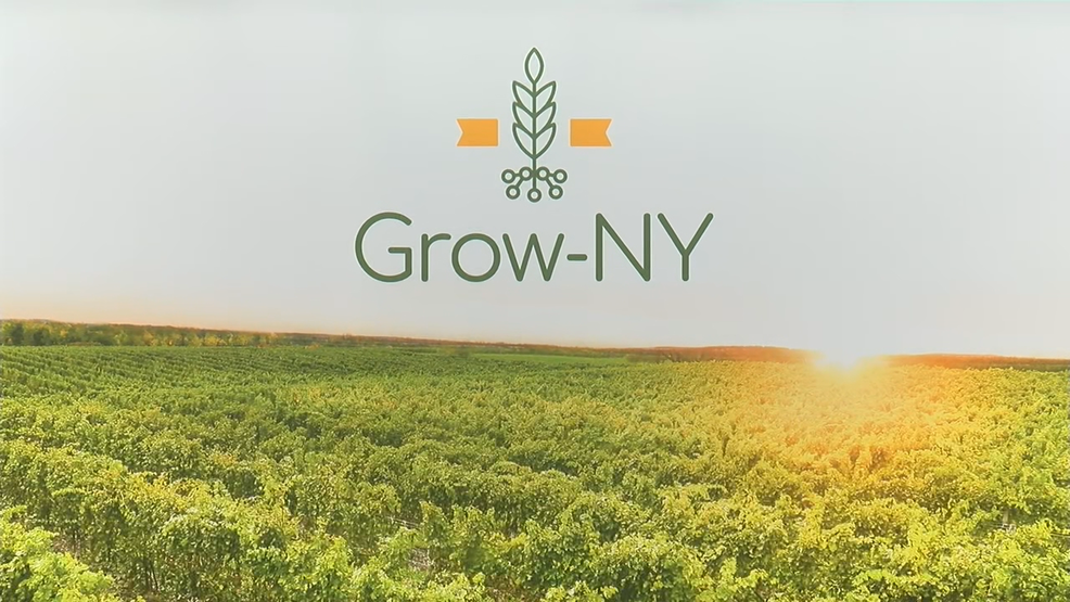 InnerPlant Named a Finalist in $3 Million Grow-NY Business Competition