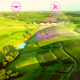Landscape image of green farm land spread across the land.