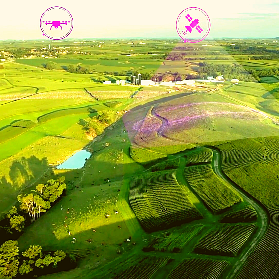 Landscape image of green farm land spread across the land.