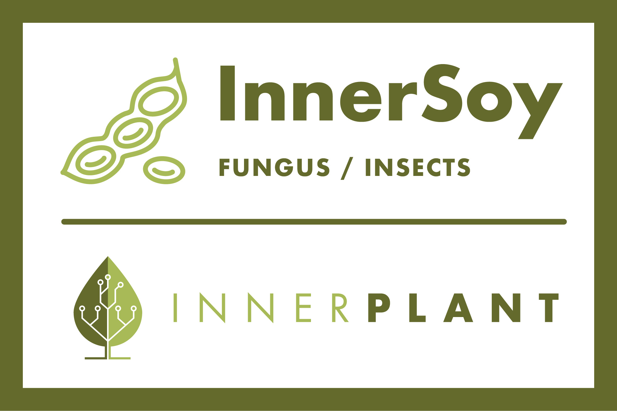 InnerSoy Design Direction - B